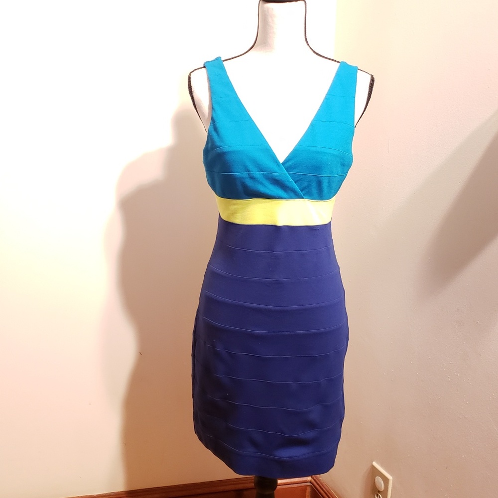Express Sleeveless Colorblock BodyCon Dress